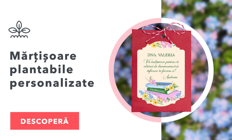 Засаждаеми Мартисоари