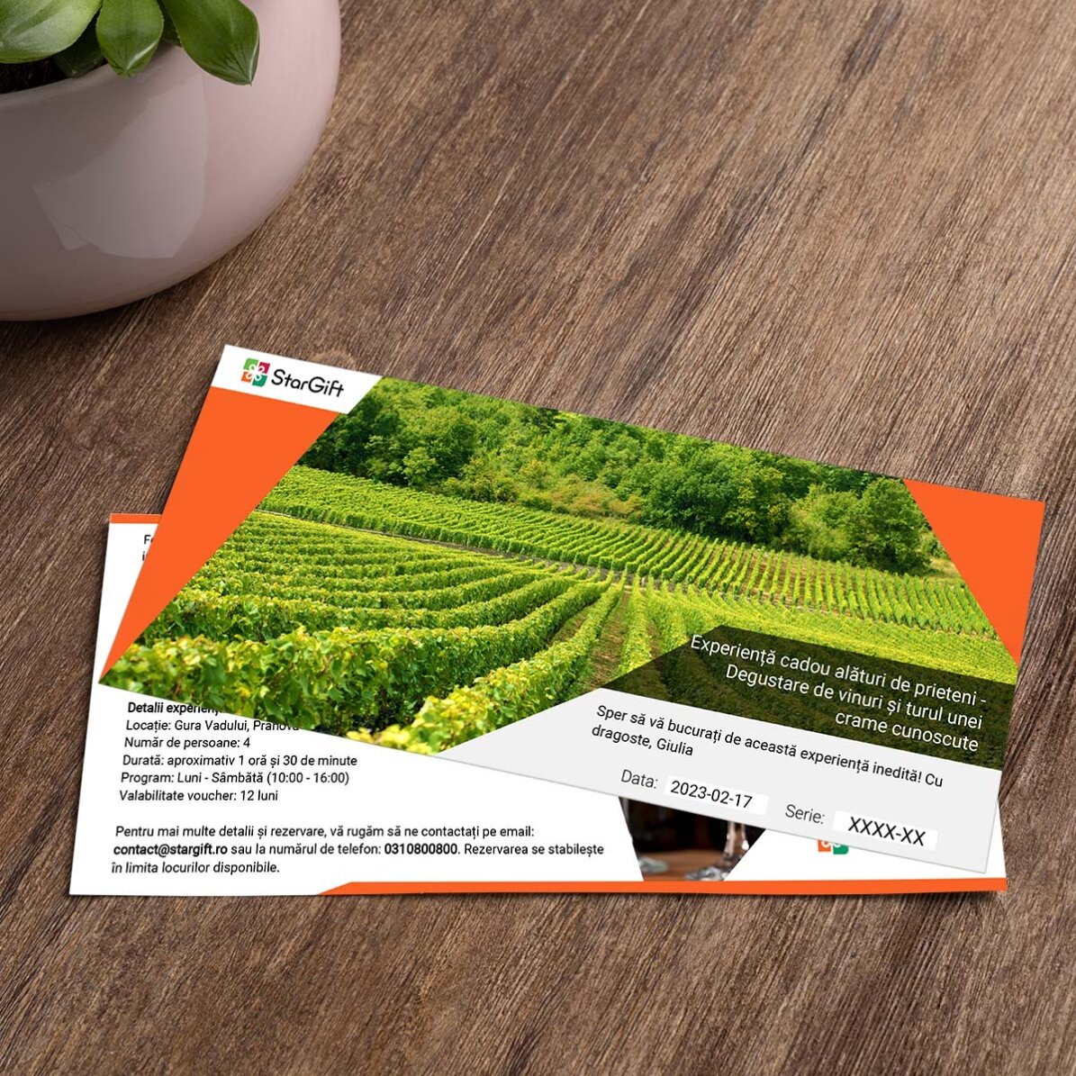 Experiență cadou alături de prieteni - Degustare de vinuri și turul cramei Budureasca