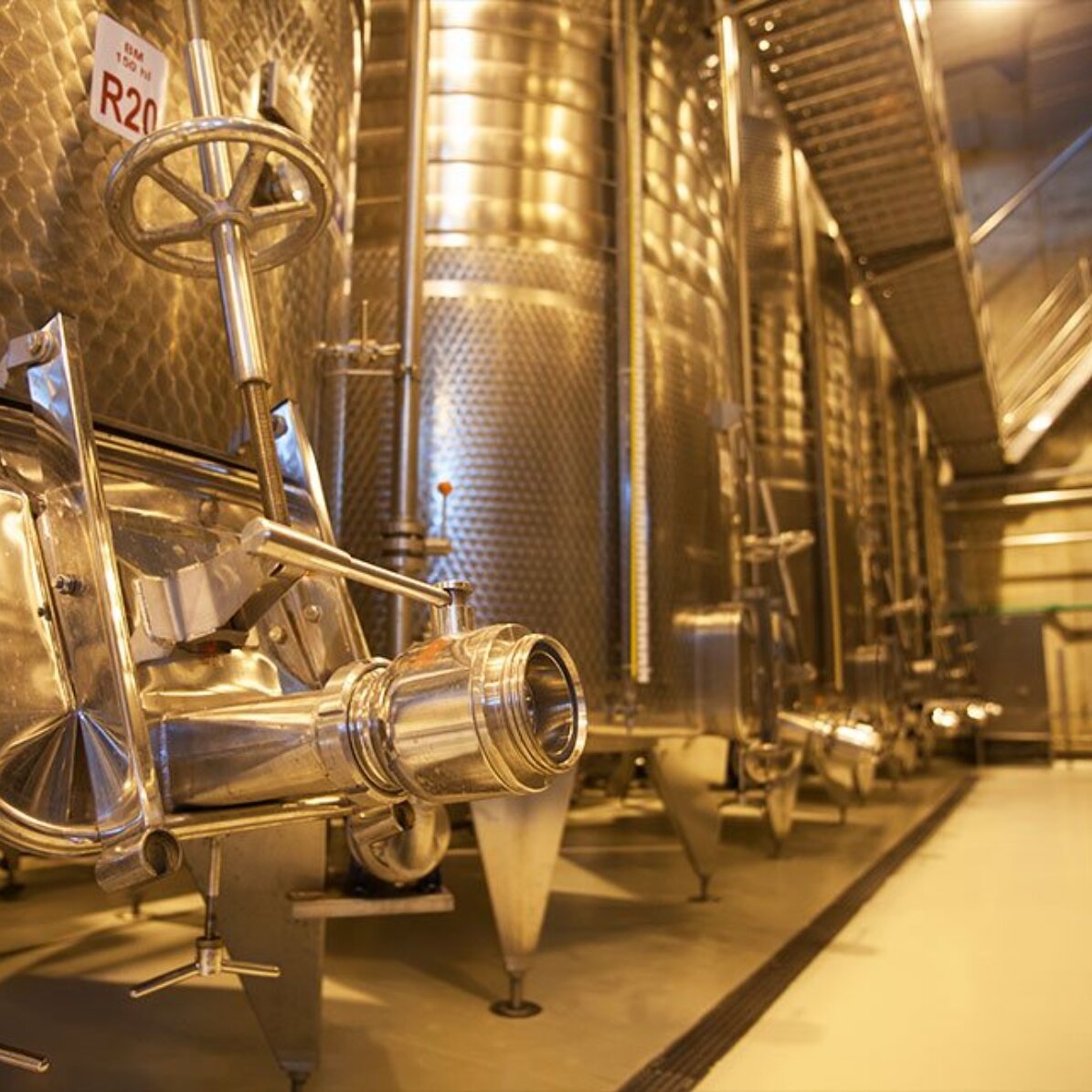 Experiență cadou alături de prieteni - Degustare de vinuri și turul cramei Budureasca