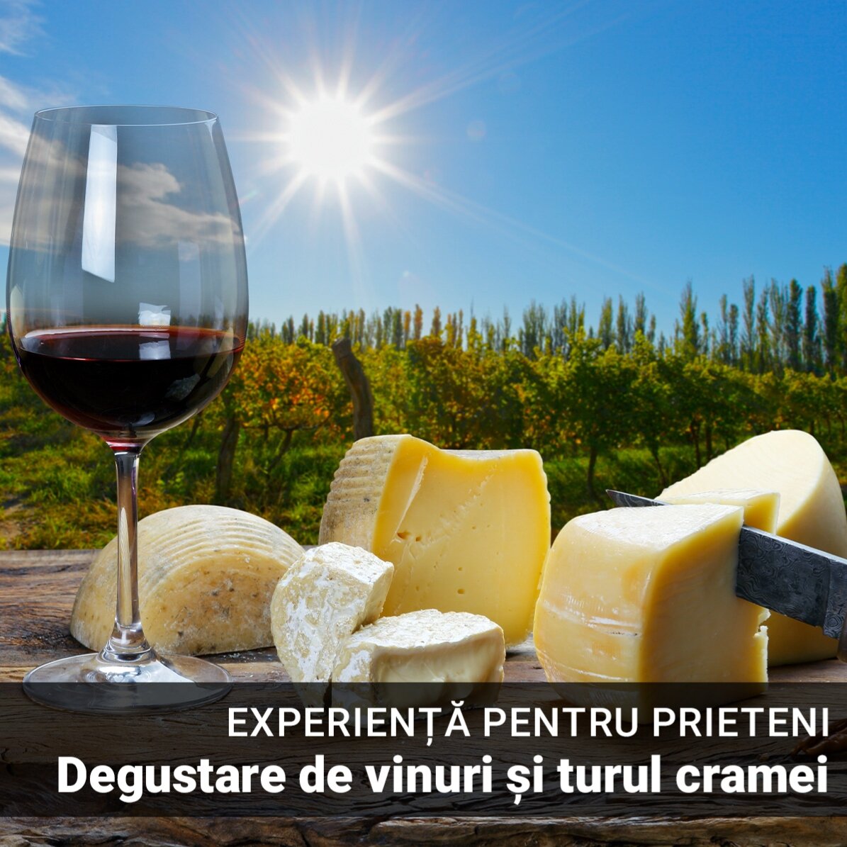 Experiență cadou alături de prieteni - Degustare de vinuri și turul cramei Budureasca