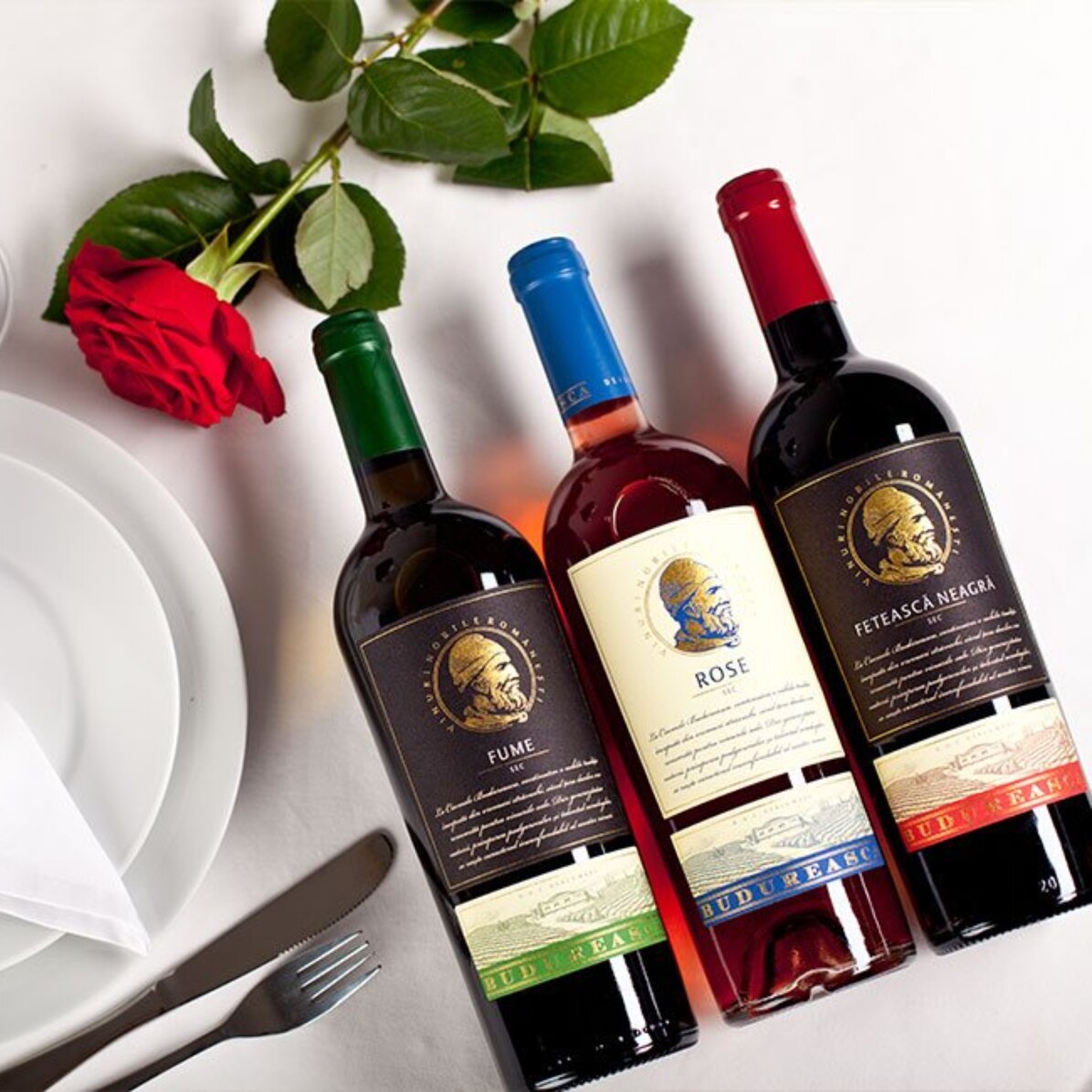 Experiență cadou  - Degustare de vin pentru 2 persoane și turul cramei Budureasca