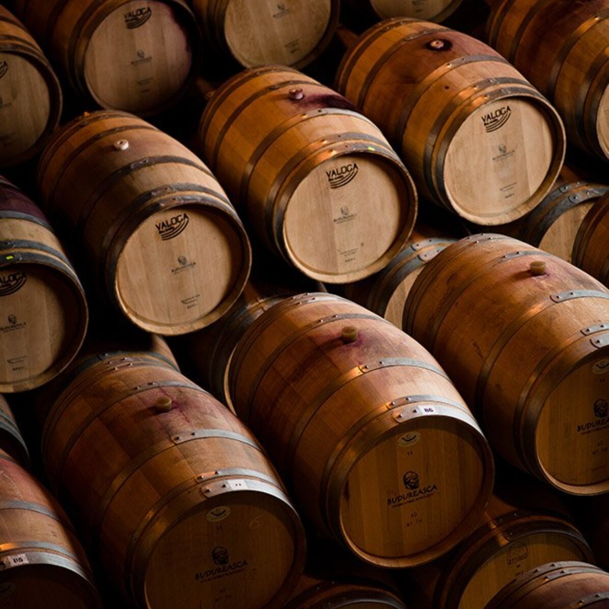 Experiență cadou  - Degustare de vin pentru 2 persoane și turul cramei Budureasca