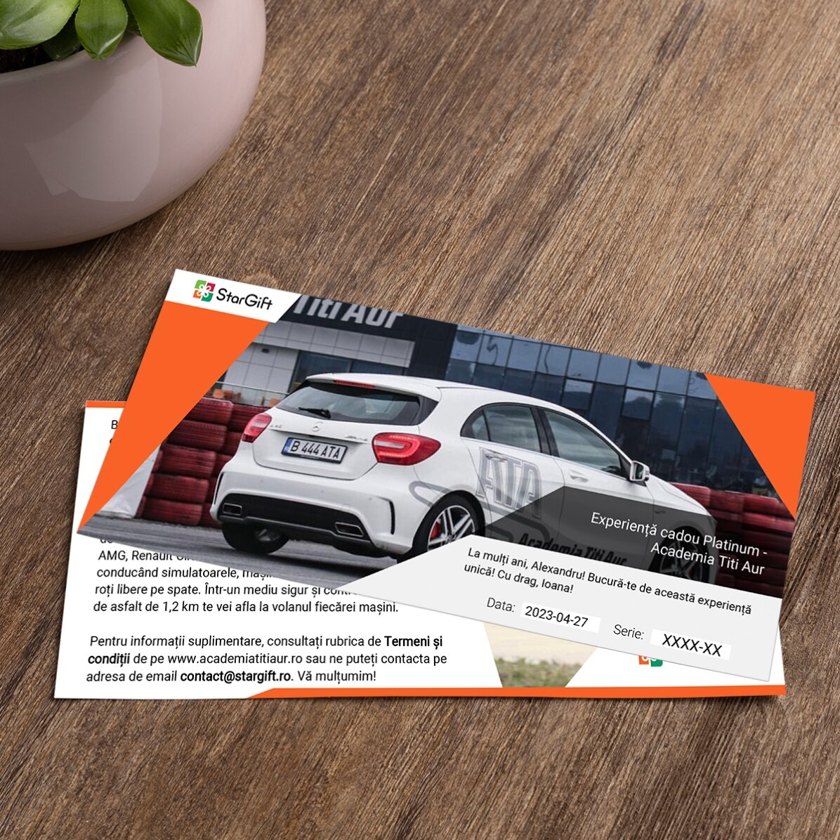 Experiență cadou Platinum -  Academia Titi Aur