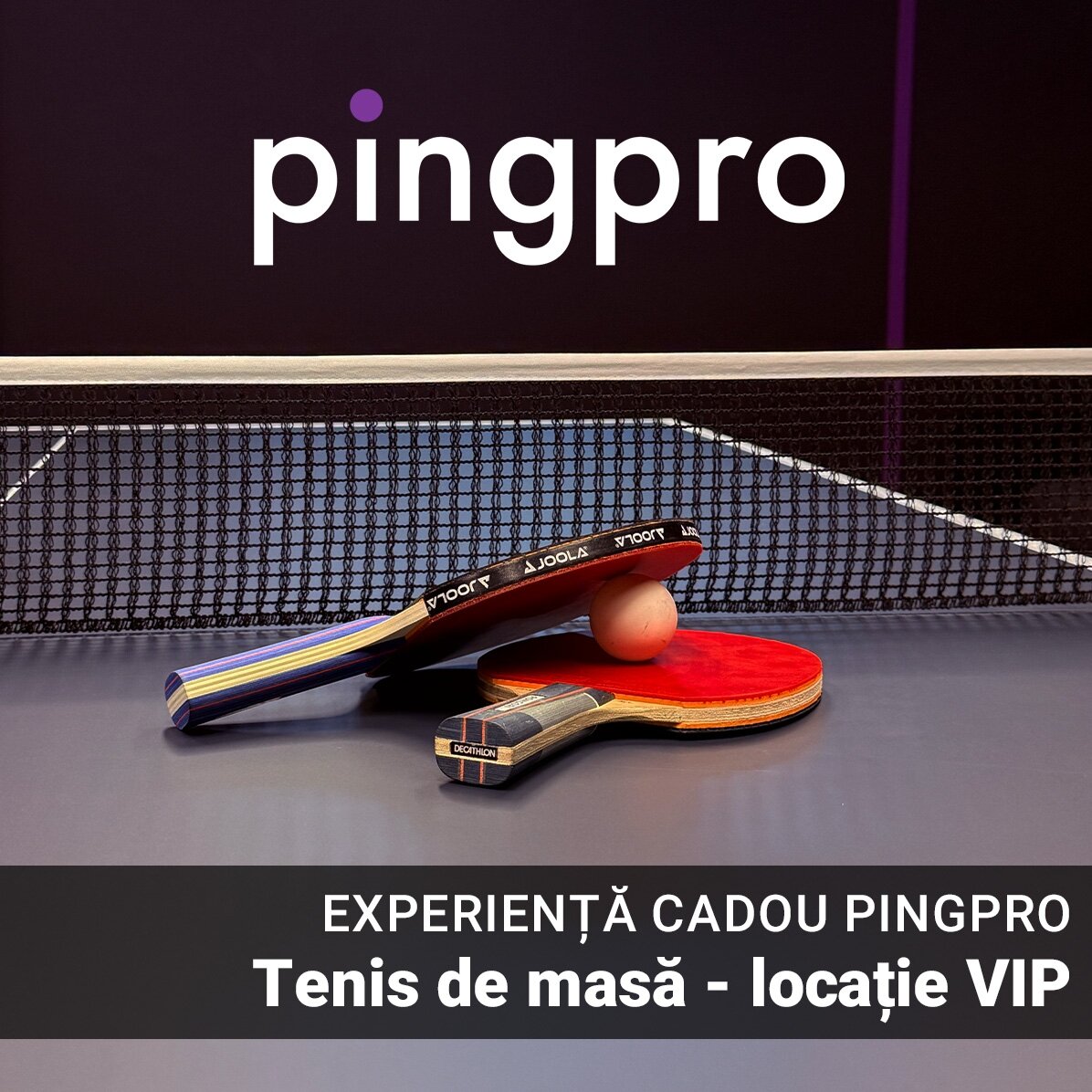 Experiență cadou VIP exclusivă - Tenis de masă - PINGPRO
