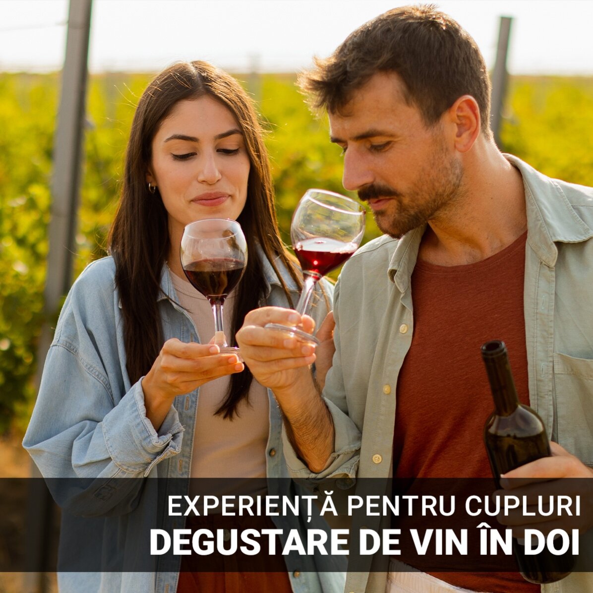 Experiență premium cadou  - Degustare de vin în 2 și turul cramei Budureasca