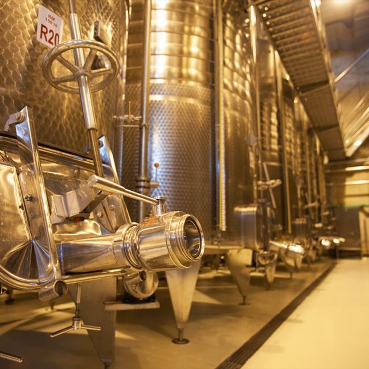 Experiență premium cadou  - Degustare de vin în 2 și turul cramei Budureasca