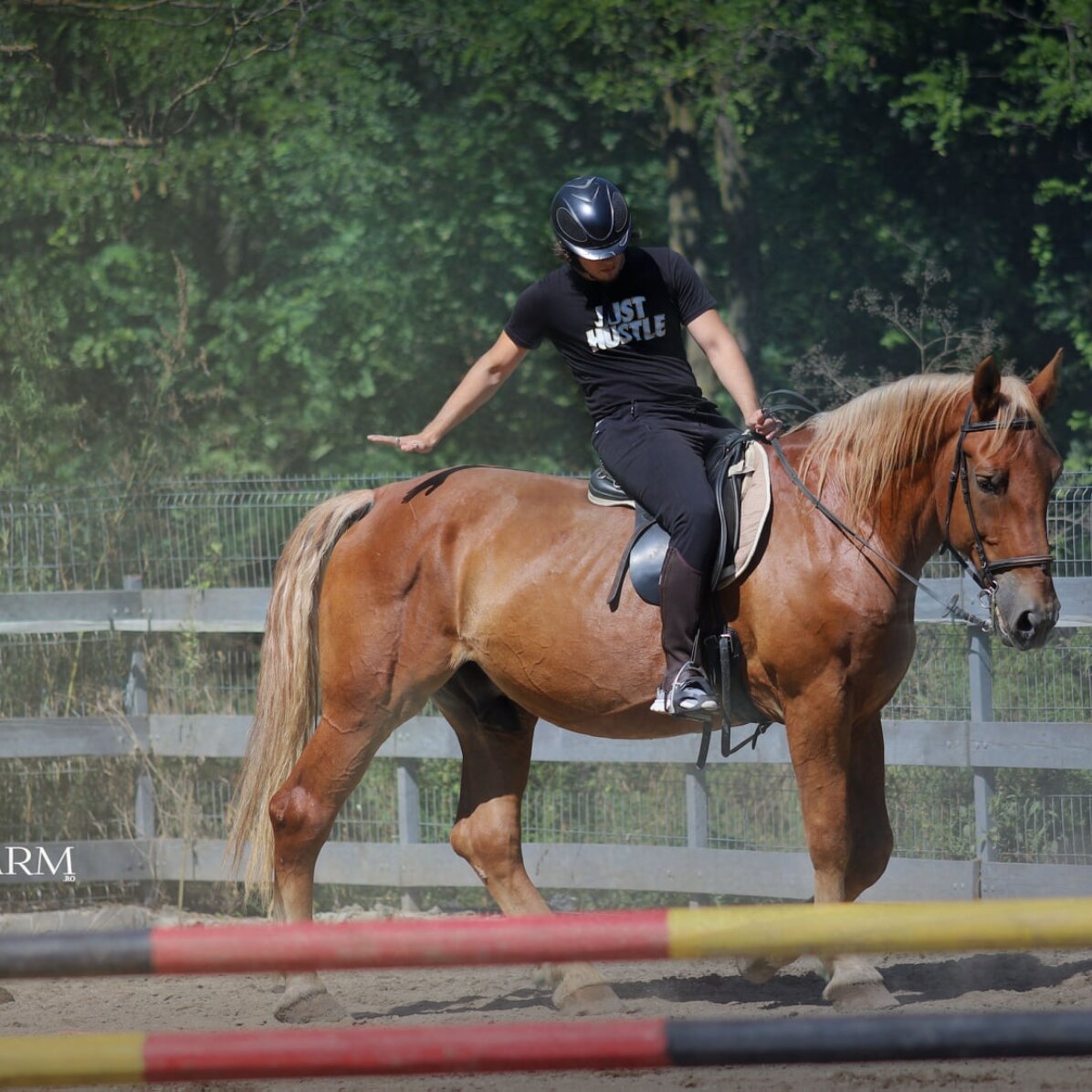 Experiență cadou - Cursuri de Echitație