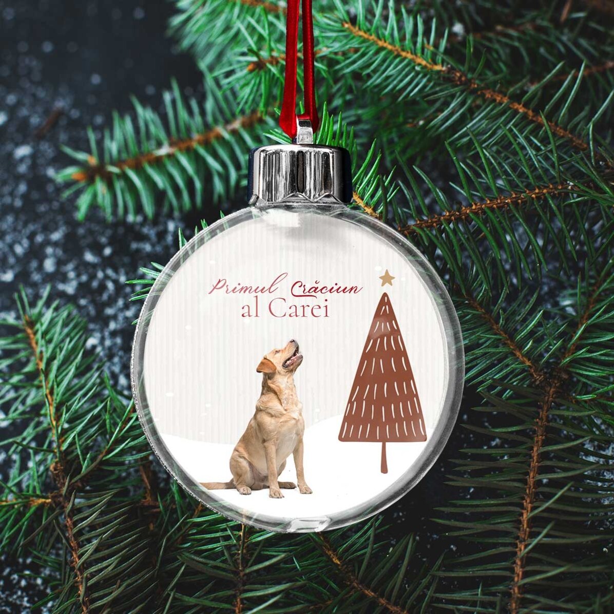 Glob transparent personalizat față-verso cu o poză și mesaj - Primul Crăciun blănos