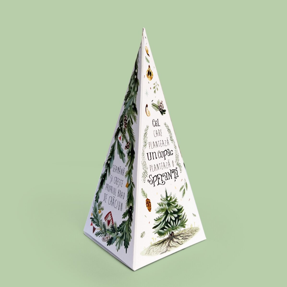 Kit de plantat brad personalizat cu logo și mesaj - Sărbători fericite!