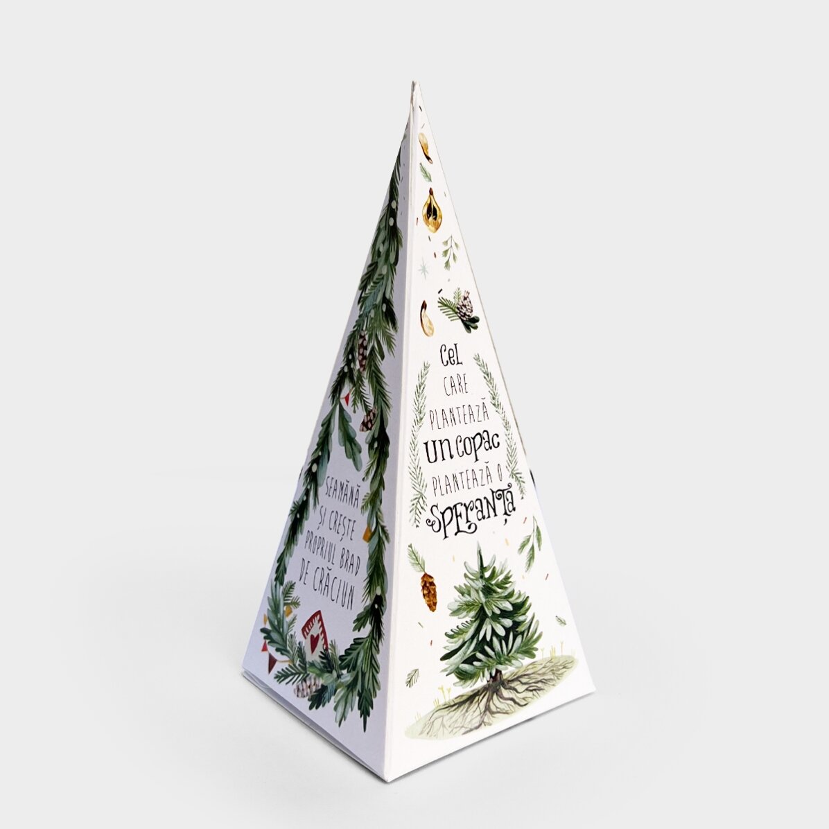 Kit de plantat brad personalizat cu monogramă