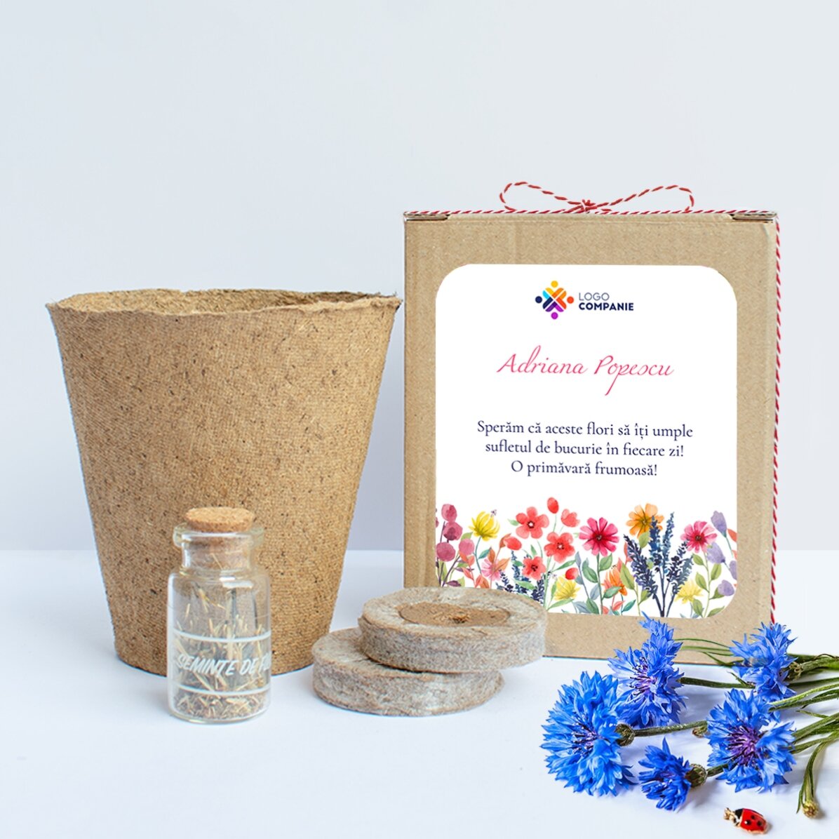 Kit de plantat flori de primăvară în cutiuță personalizată cu logo și mesaj