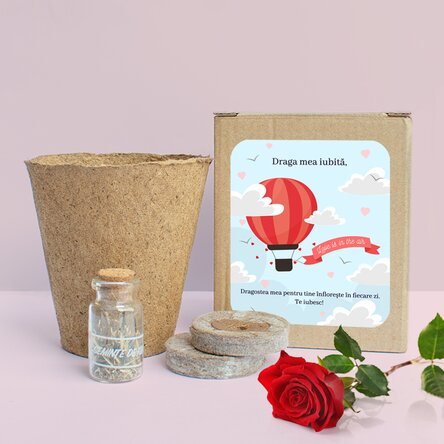 Kit de plantat flori de primăvară în cutiuță personalizată cu mesaj - Love is in the air