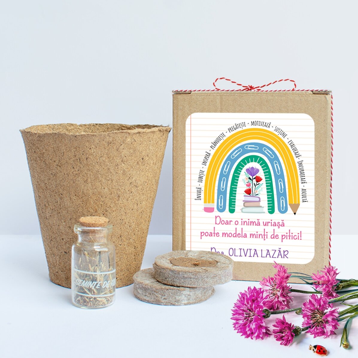 Kit de plantat flori de primăvară în cutiuță personalizată cu mesaj pentru educatoare