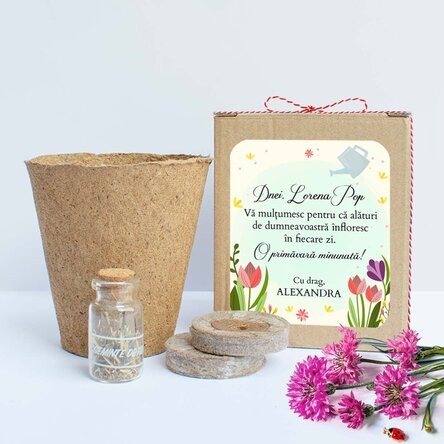 Kit de plantat flori de primăvară în cutiuță personalizată cu mesaj pentru profesoară