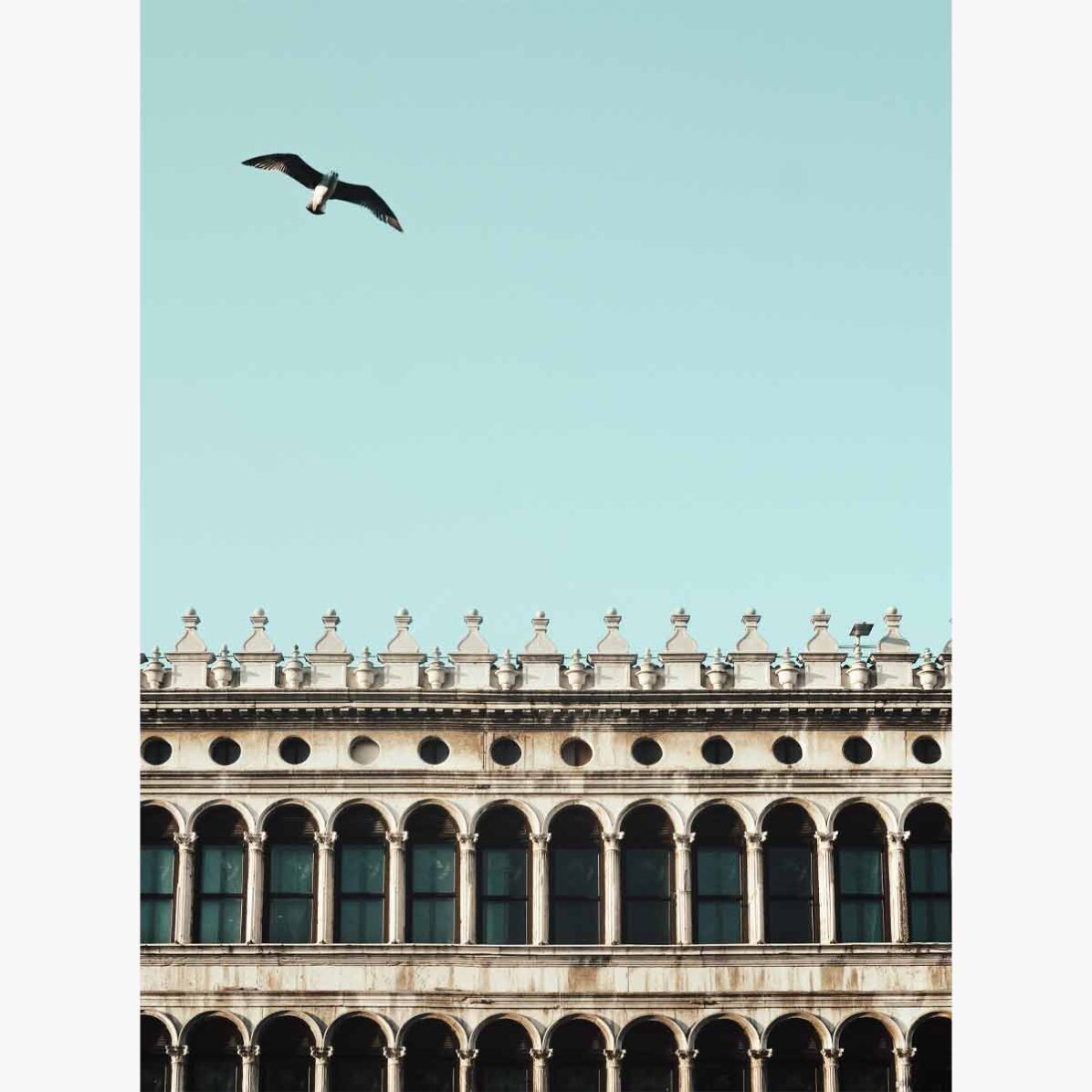 Poster pasăre și clădire