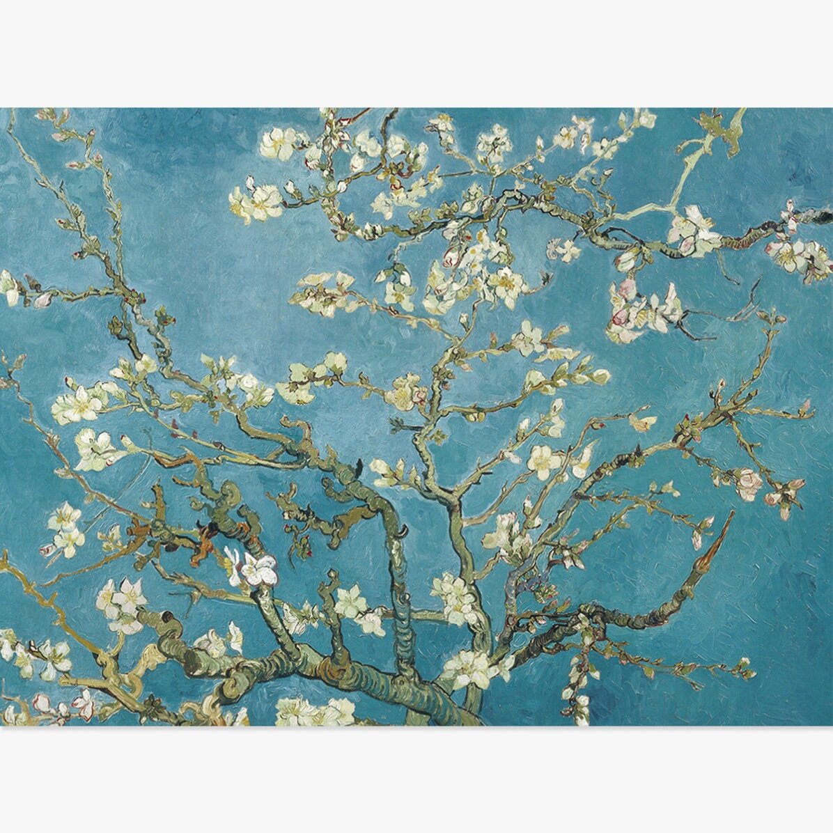 Poster landscape - Vincent Van Gogh - Ramuri de migdal înflorit 1890