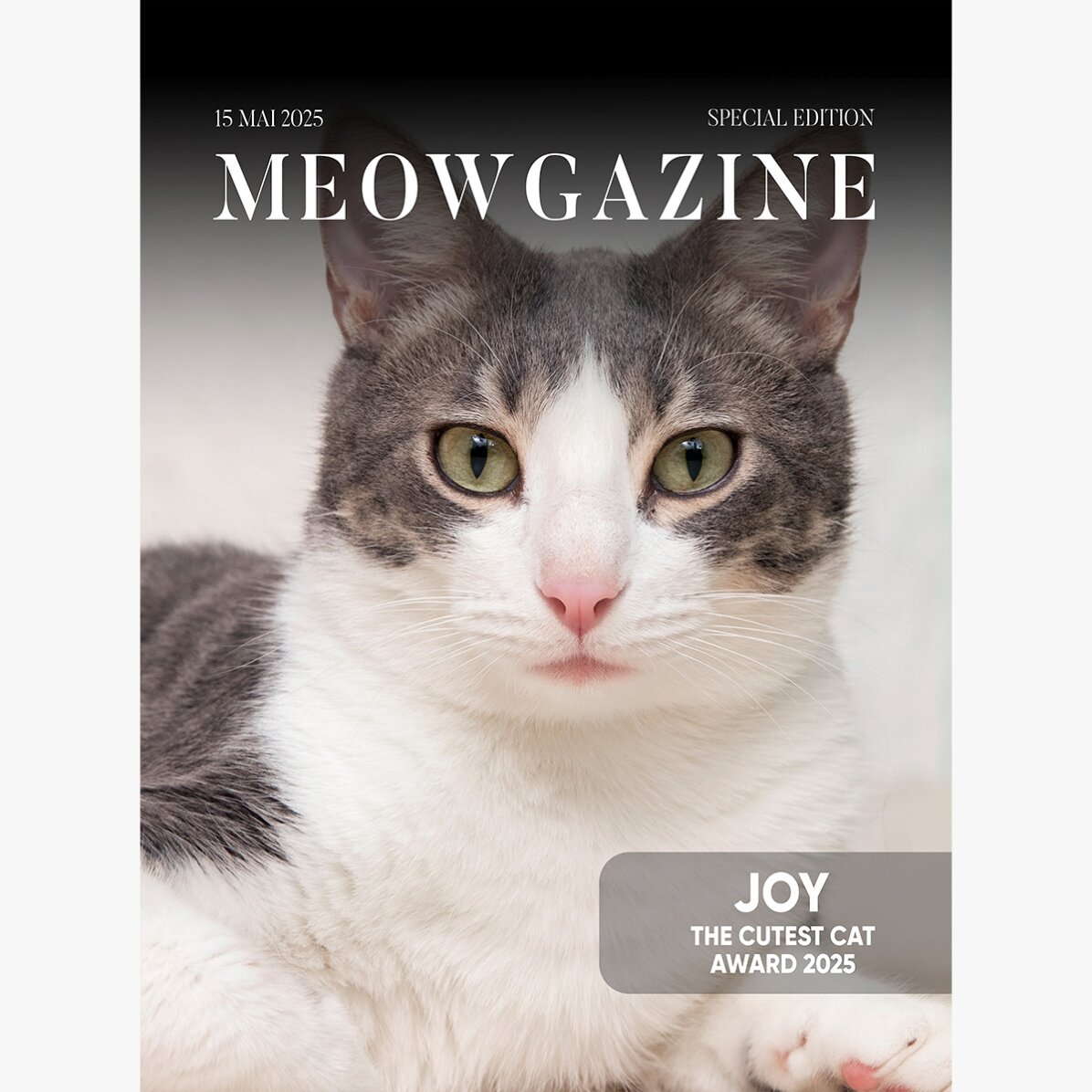 Poster personalizat cu poză și text - Meowgazine