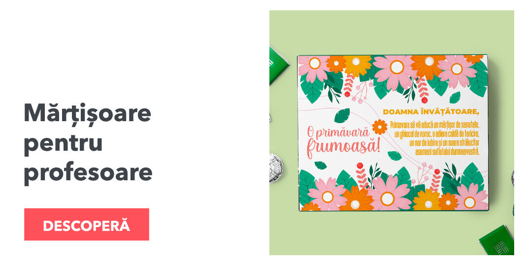 Мартисоари за учители / учители