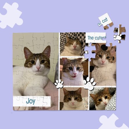 Puzzle personalizat cu 6 poze și mesaj - Animăluțe