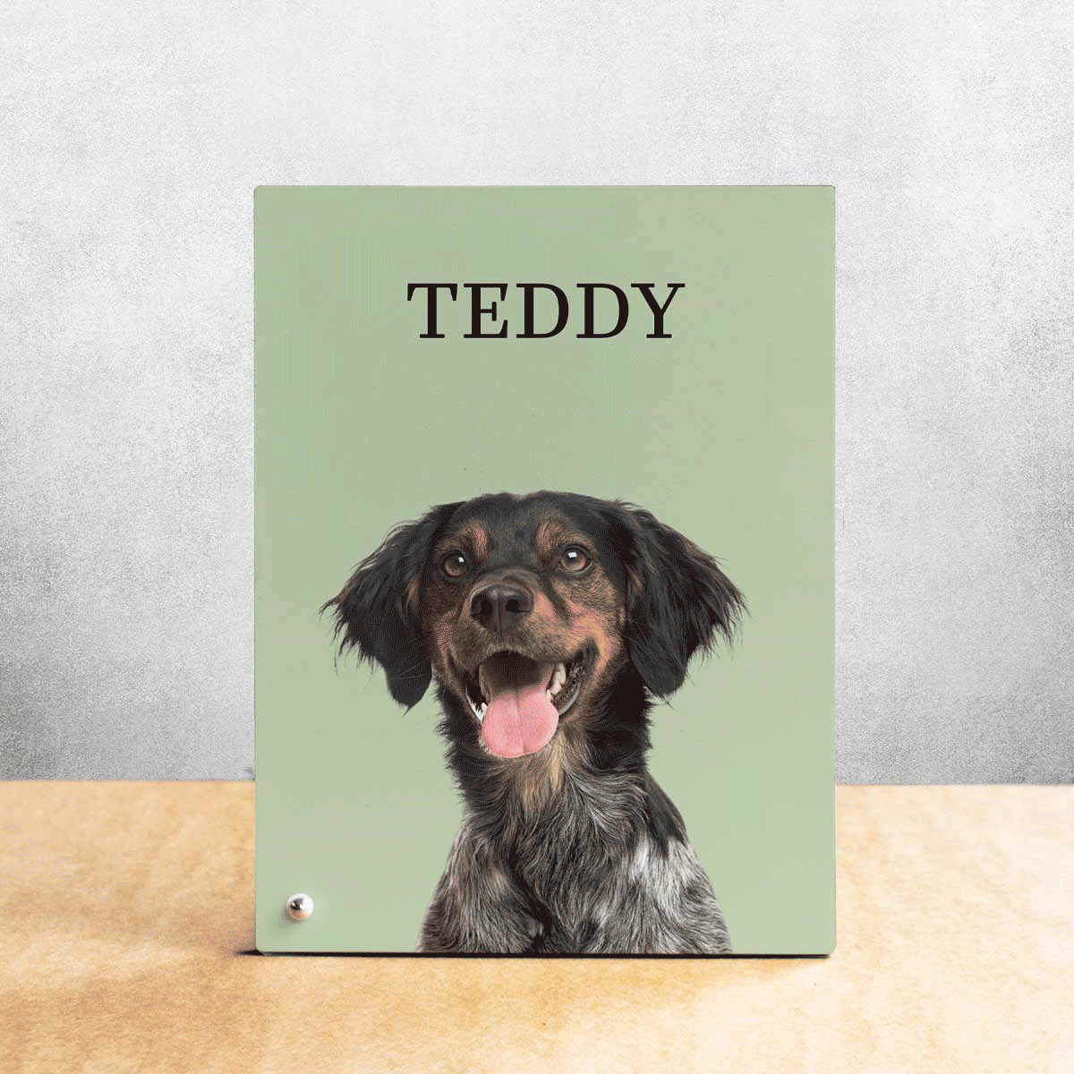 Ramă foto de birou personalizată cu poza și numele animăluțului tău