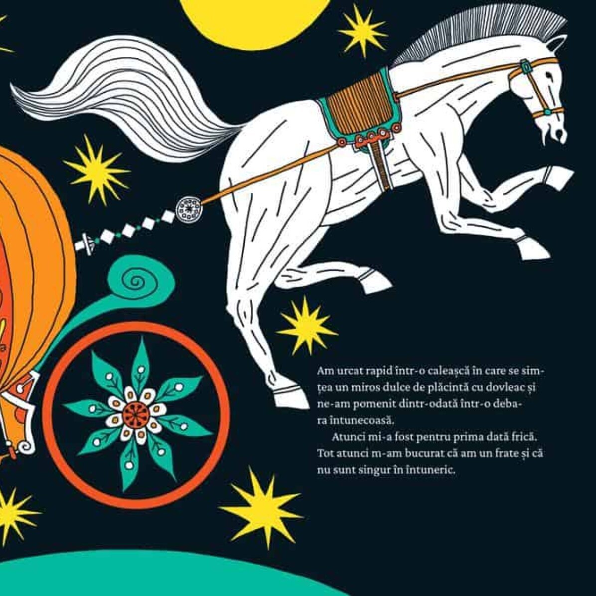 Set magnet 10x10 personalizat și cartea Cum am devenit pantof regal