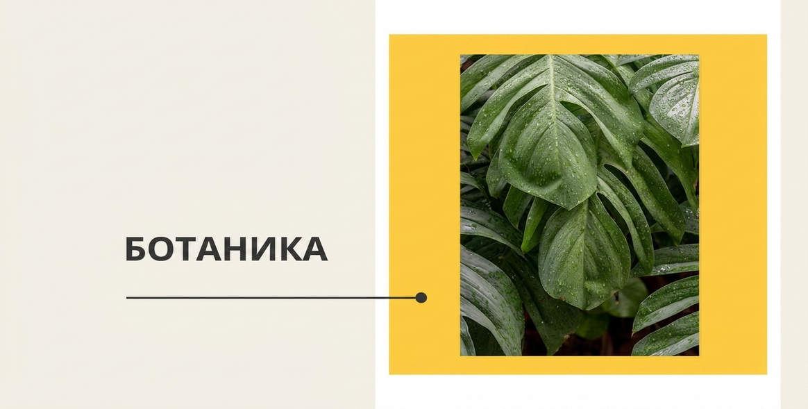 Постери - Ботаническа колекция